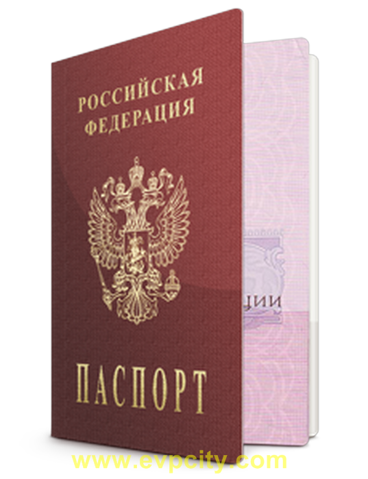 Копия паспорта